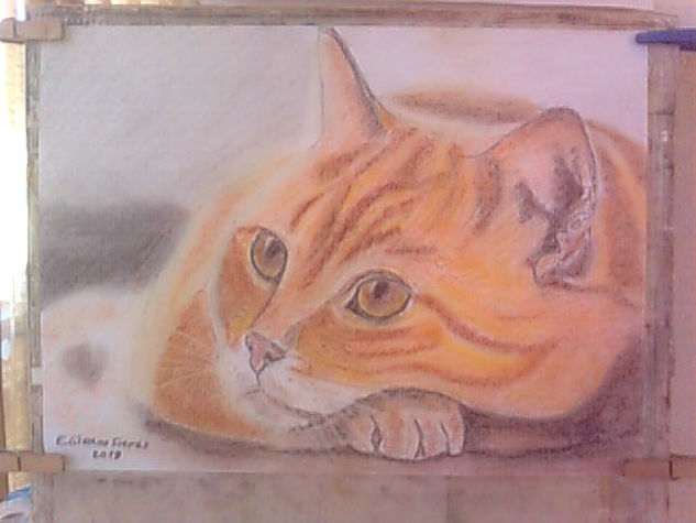 Gatito rojizo Pastel Cartulina Animales