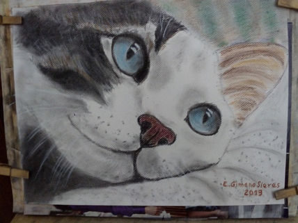 Gatito triste