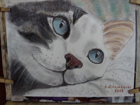 Gatito triste