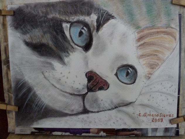 Gatito triste