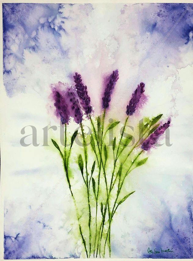 EXPLOSIÓN DE LAVANDA
