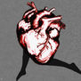 Corazón a la fuga