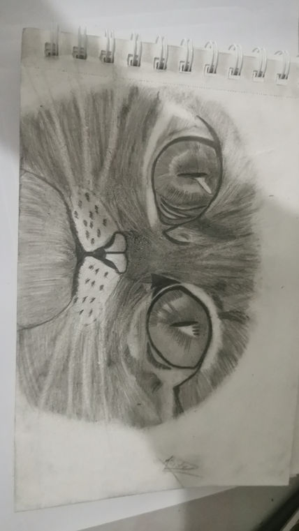 Animal realista