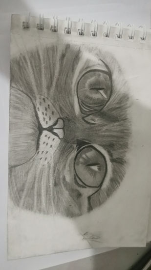 Animal realista Pencil