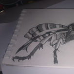Animales thumbnail 1