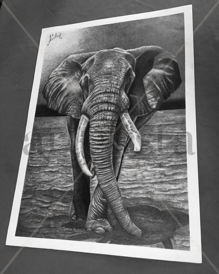 Gran Elefante Pencil