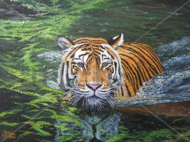 Tigre en pantano Oil Canvas Animals