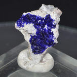 Miners thumbnail 1
