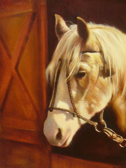 corcel blanco Oil Canvas Animals