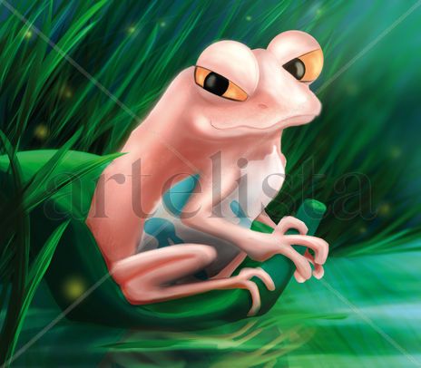 Rana en el Bosque -...