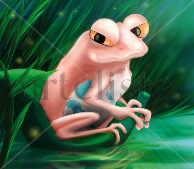 Rana en el Bosque - Frog in tht forest 