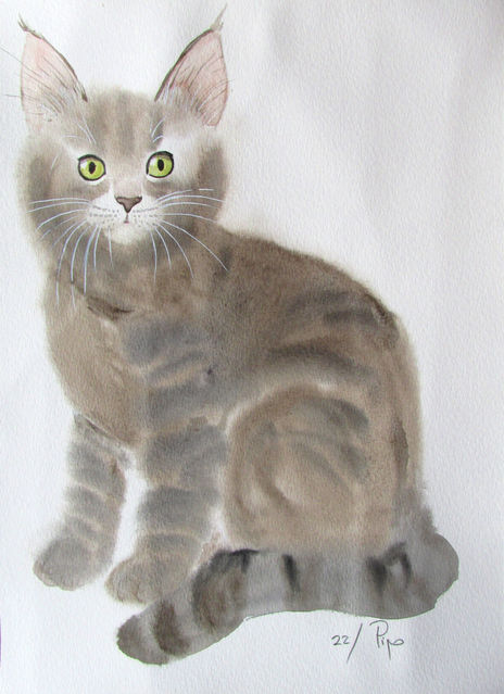Matéo