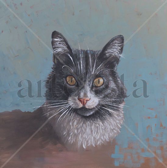 Gata Maria Oil Canvas Animals