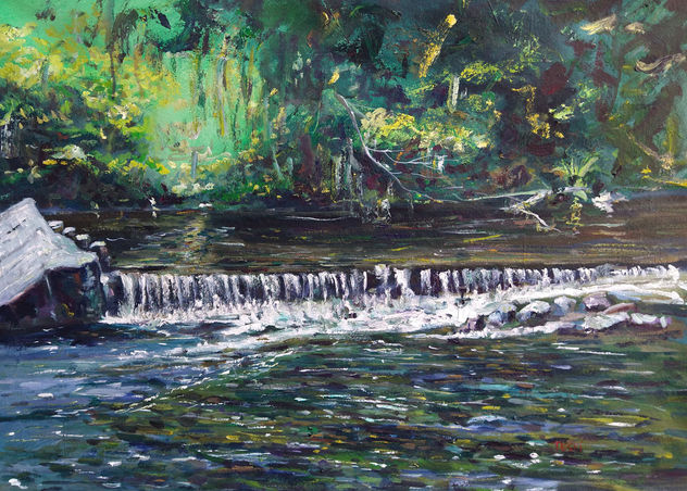 Cascada en el rio