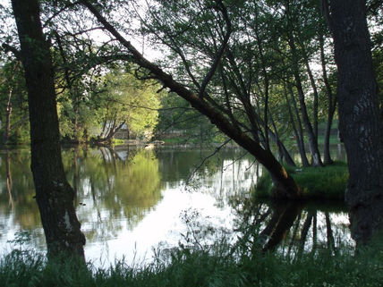 "el picon rio...