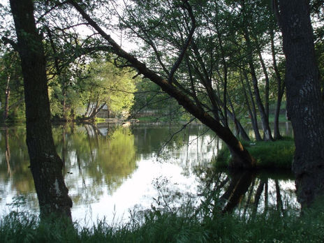 "el picon rio...