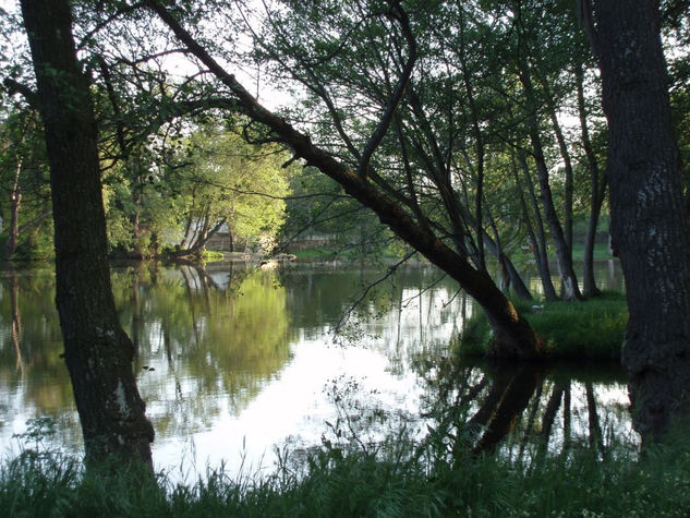 "el picon rio agueda, mayo" Naturaleza Color (Digital)