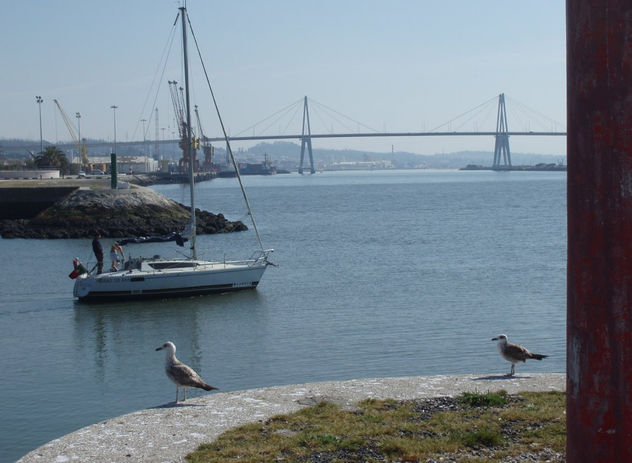"Gabiotas y barco saliendo del puerto"