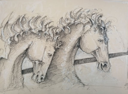 Caballos