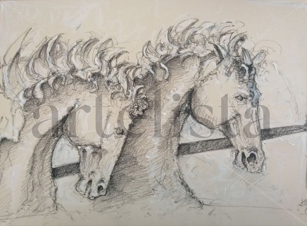 Caballos
