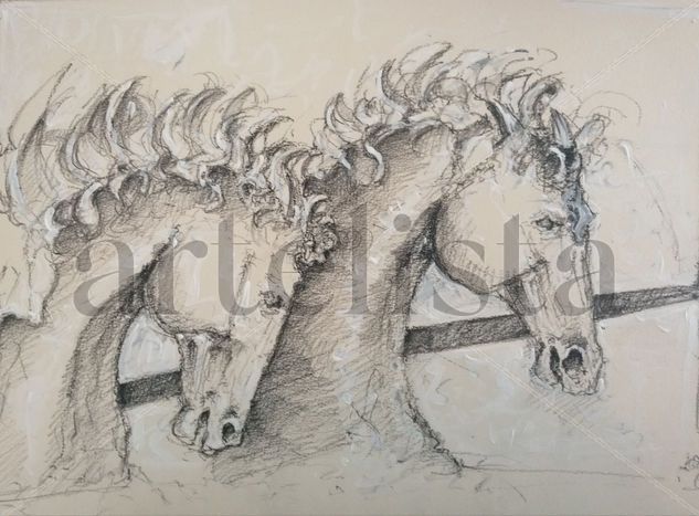 Caballos Charcoal