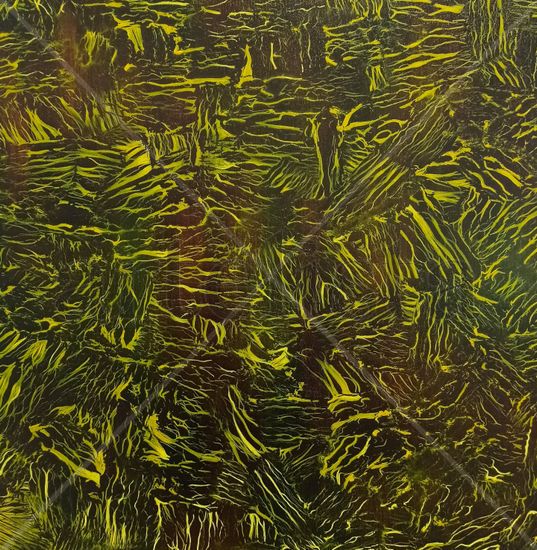 AMAZONIA Acrylic Canvas Others