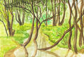 Summer landscape - trees and river