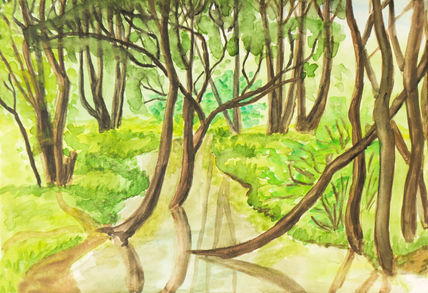 Summer landscape -...
