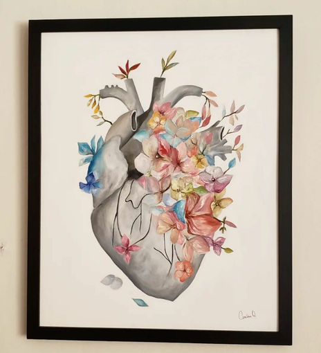Corazón anatomía