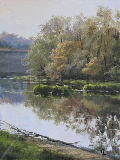 River surface