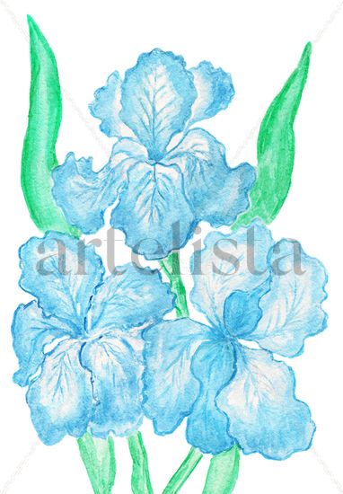 Three blue irises Acuarela Papel Floral