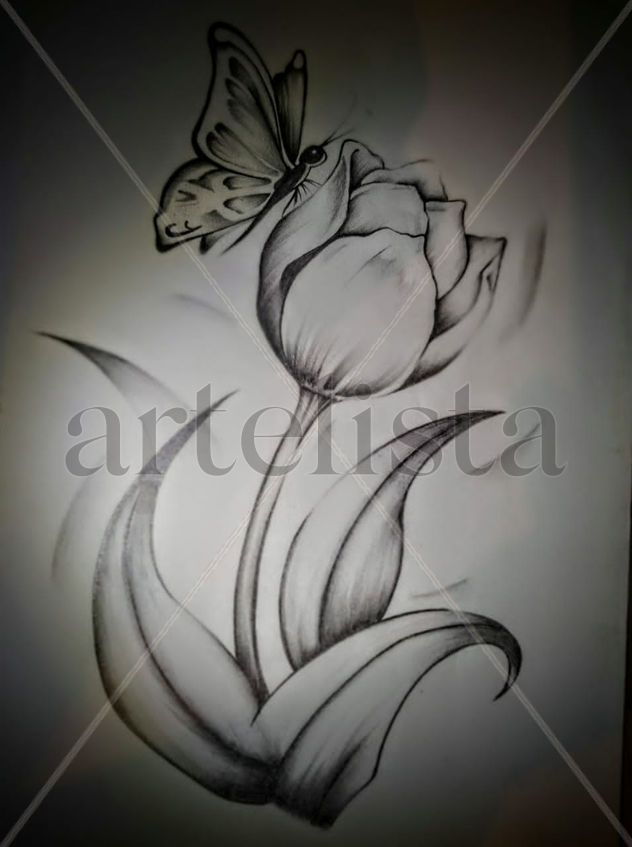 Tulipan