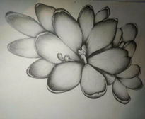 Flor japonesa