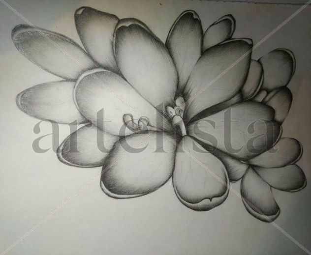 Flor japonesa