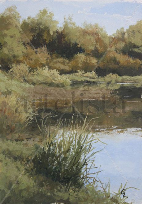 Pond. End of summer