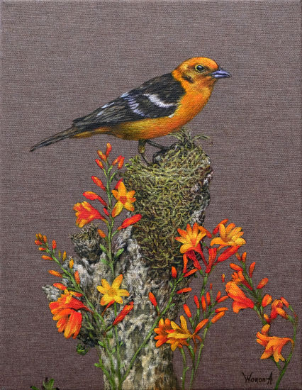 Pajarito amarillo en su nido. Oil Canvas Animals