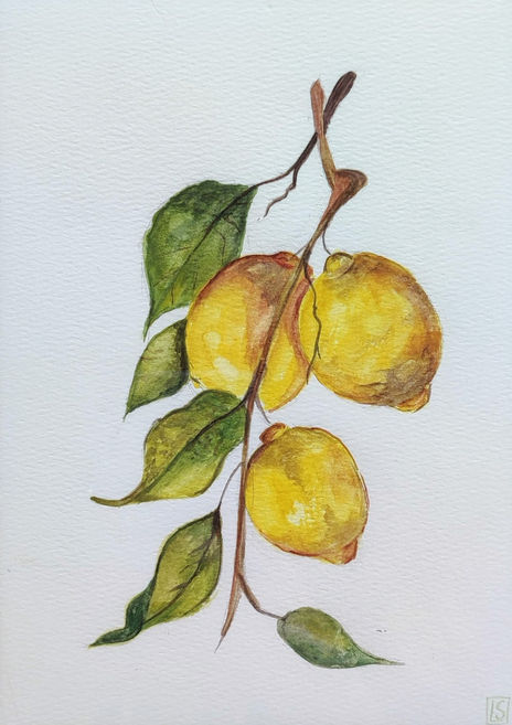 Limones