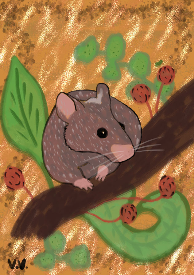 Ratoncito