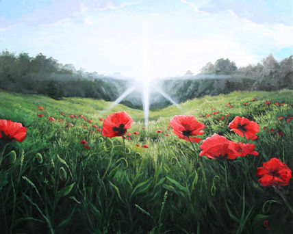 Poppies