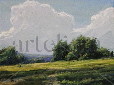 Summer day