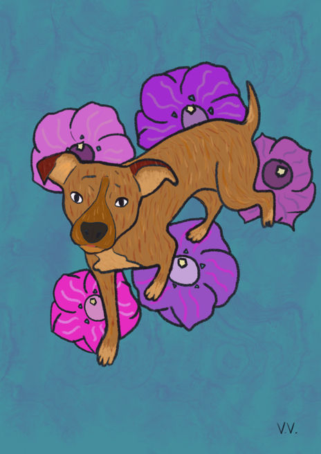 Perrito 9