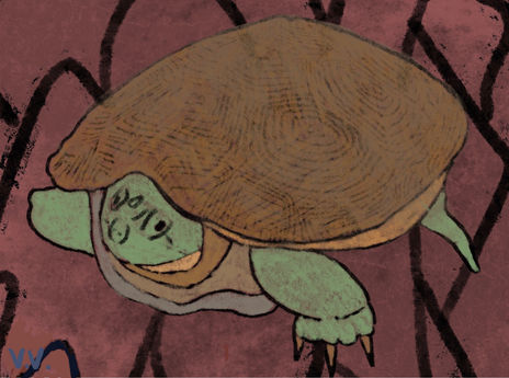 Tortuga