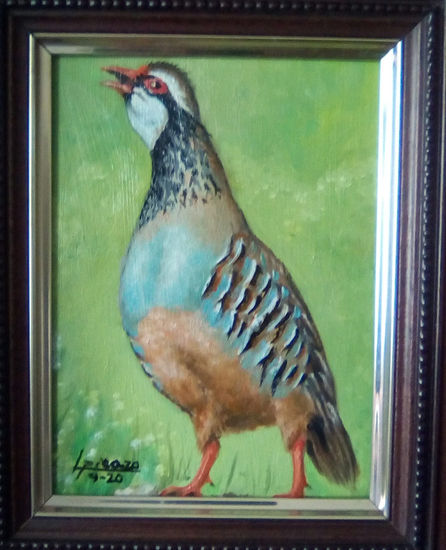 Perdiz 1 macho 22x20cm Óleo Tabla Animales