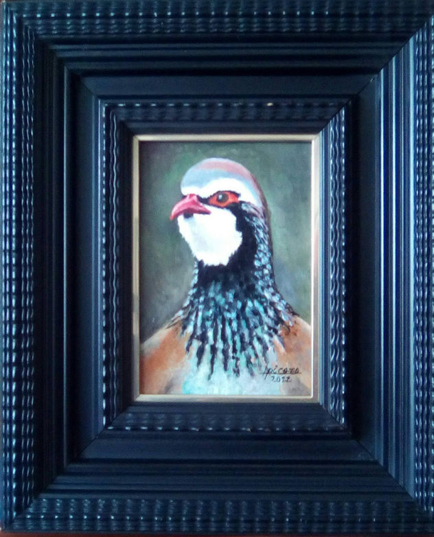 Cabeza de perdiz 12x17 cm