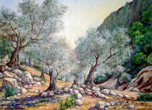OLIVOS