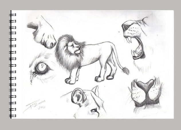 Habilidades  Dibujo Análogo