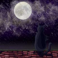 Gatito Viendo la Luna