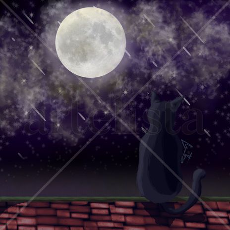 Gatito Viendo la Luna