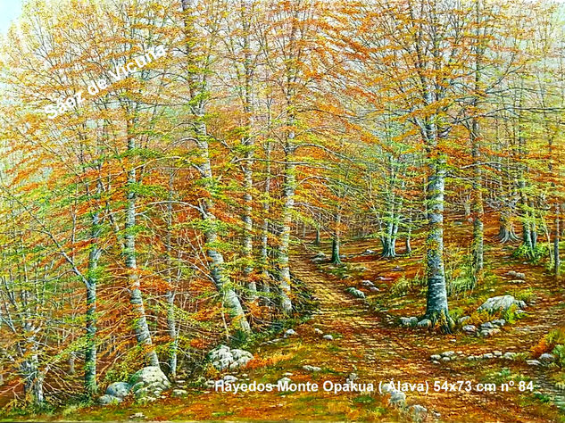 Hayedos. Monte en Opakua (Álava) 54x73 cm nº84 Óleo Lienzo Paisaje