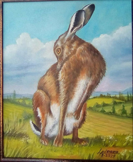 Liebre 1-33x22